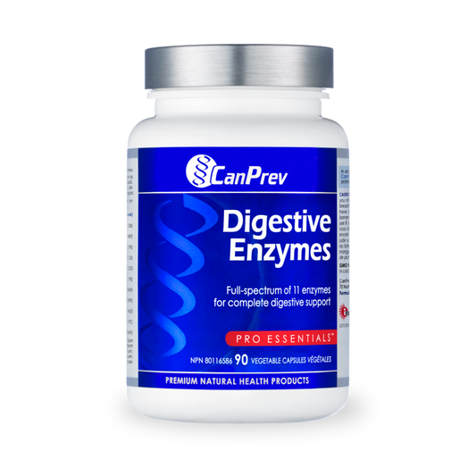 Digestive Enzymes