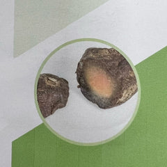 Natural green plum Natural green plum