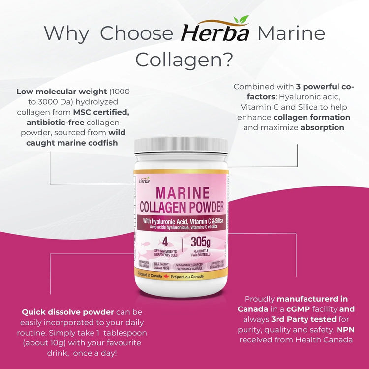 Marine Collagen Powder with Hyaluronic Acid, Silica, and Vitamin C – 305g | Made in Canada