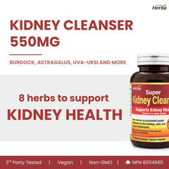Kidney Cleanse Supplement – 120 Capsules Kidney Cleanse Supplement – 120 Capsules