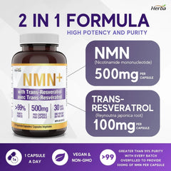 NMN Supplement + Resveratrol - 600mg | Made in Canada | 30 Vegetable Capsules NMN Supplement + Resveratrol - 600mg | Made in Canada | 30 Vegetable Capsules