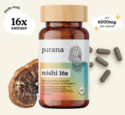 Reishi 16:1 / 60 Caps