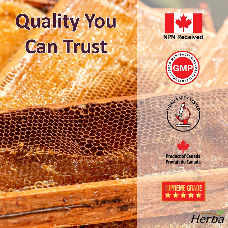 Royal Jelly Powder 250g | Made in Canada