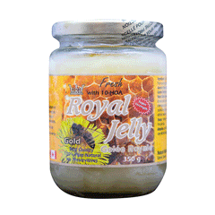 100% Fresh Royal Jelly Gold / 350g 100% Fresh Royal Jelly Gold / 350g