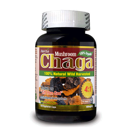 Chaga / 400mg / 120caps