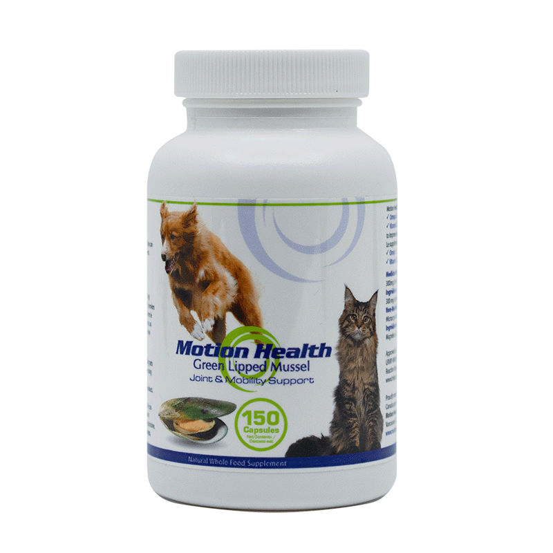 Green lipped mussel 2024 extract for dogs