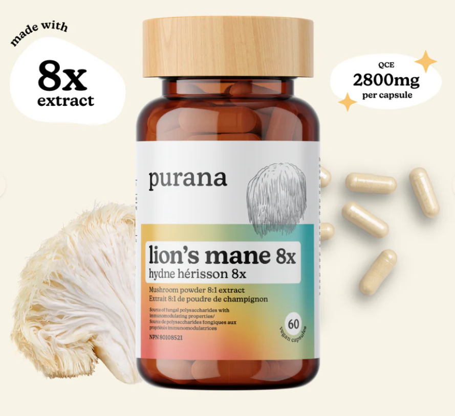 Lion's Mane 8:1 Capsules / 60 Caps – Lotte Health Vitamin