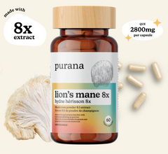 Lion's Mane 8:1 Capsules / 60 Caps