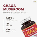 Chaga Mushroom Capsules 400mg - 120 Vegetable Capsules | 4:1 High Concentrate