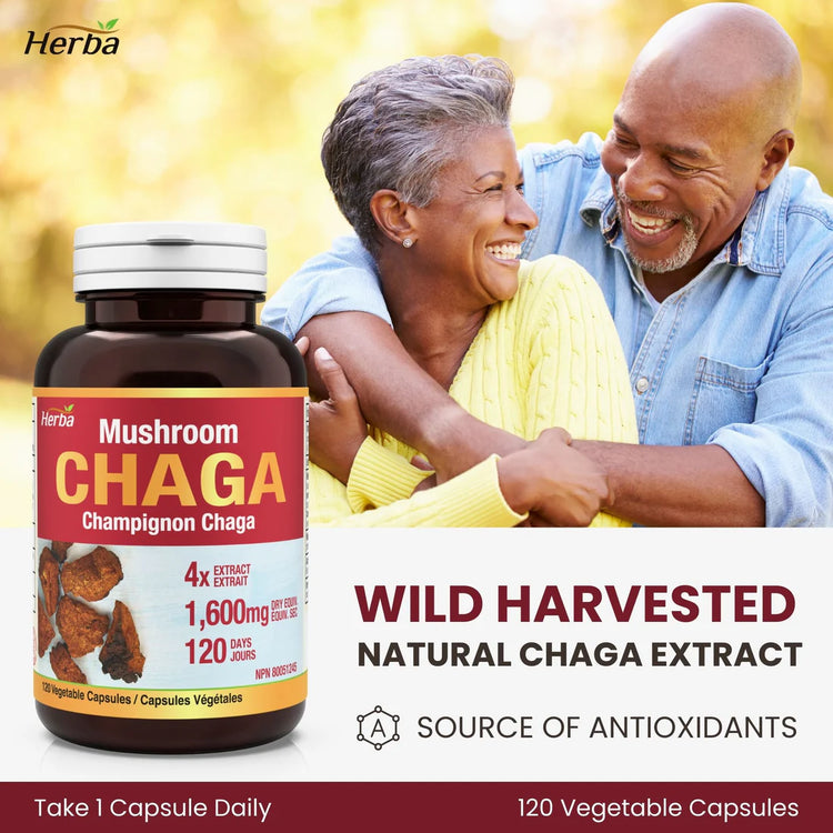 Chaga Mushroom Capsules 400mg - 120 Vegetable Capsules | 4:1 High Concentrate