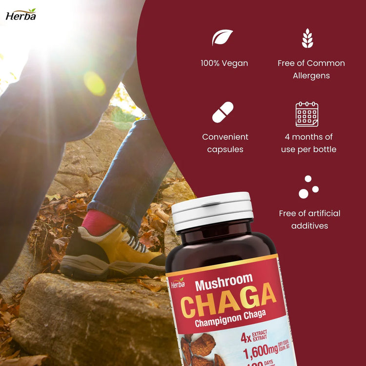 Chaga Mushroom Capsules 400mg - 120 Vegetable Capsules | 4:1 High Concentrate