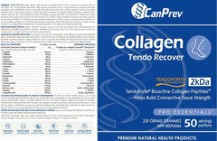 콜라겐 텐도 리커버 - 파우더