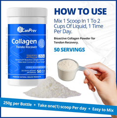 콜라겐 텐도 리커버 - 파우더