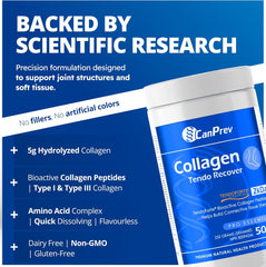 콜라겐 텐도 리커버 - 파우더