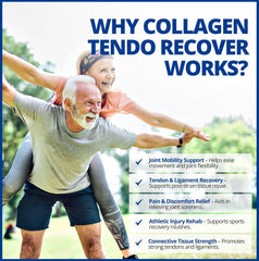 콜라겐 텐도 리커버 - 파우더