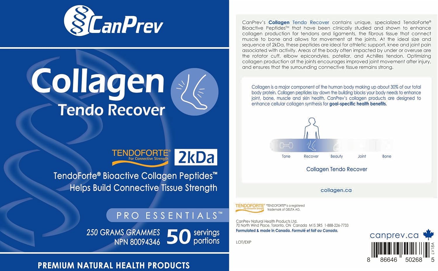 콜라겐 텐도 리커버 - 파우더