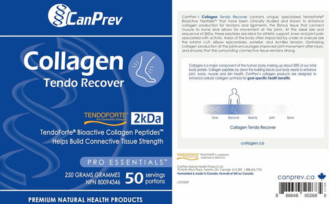 콜라겐 텐도 리커버 - 파우더