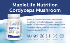 Cordyceps Mushroom 350mg 90 Capsules