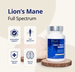 라이언스 메인 풀 스펙트럼 60 v-캡