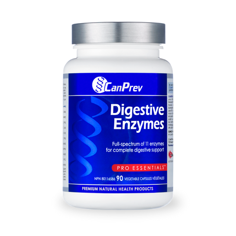 Digestive Enzymes