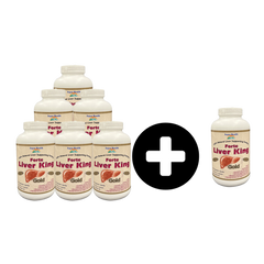 포르테 리버 킹