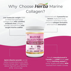 Marine Collagen Powder with Hyaluronic Acid, Silica, and Vitamin C – 305g | Made in Canada