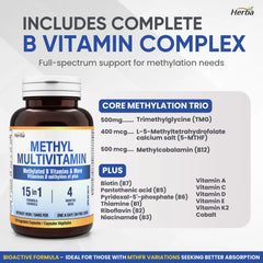 Methylated Multivitamin with TMG & Full Methylated B Complex - 120 Capsules | 15 in 1 Formula | Made in Canada