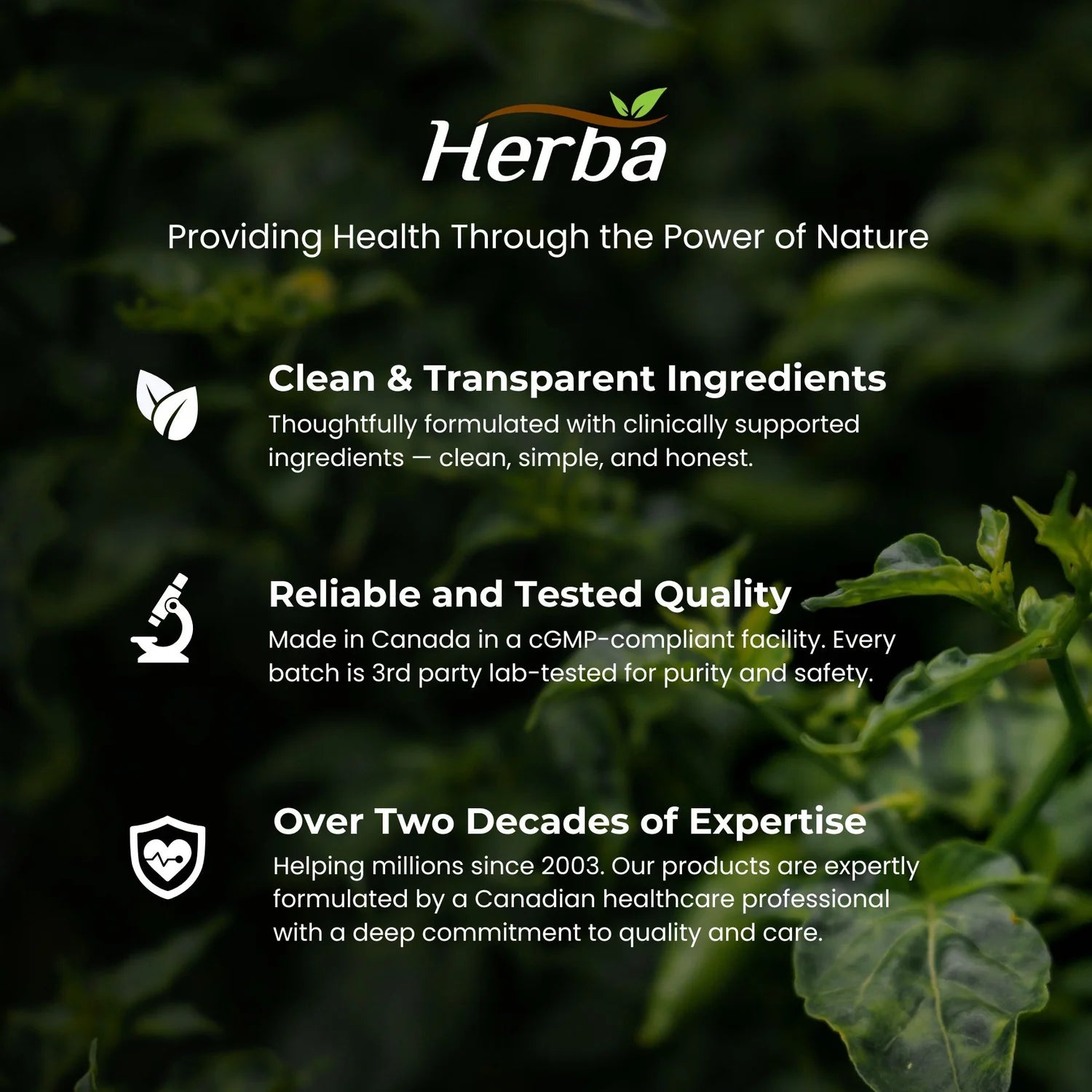 Methylated Multivitamin with TMG & Full Methylated B Complex - 120 Capsules | 15 in 1 Formula | Made in Canada