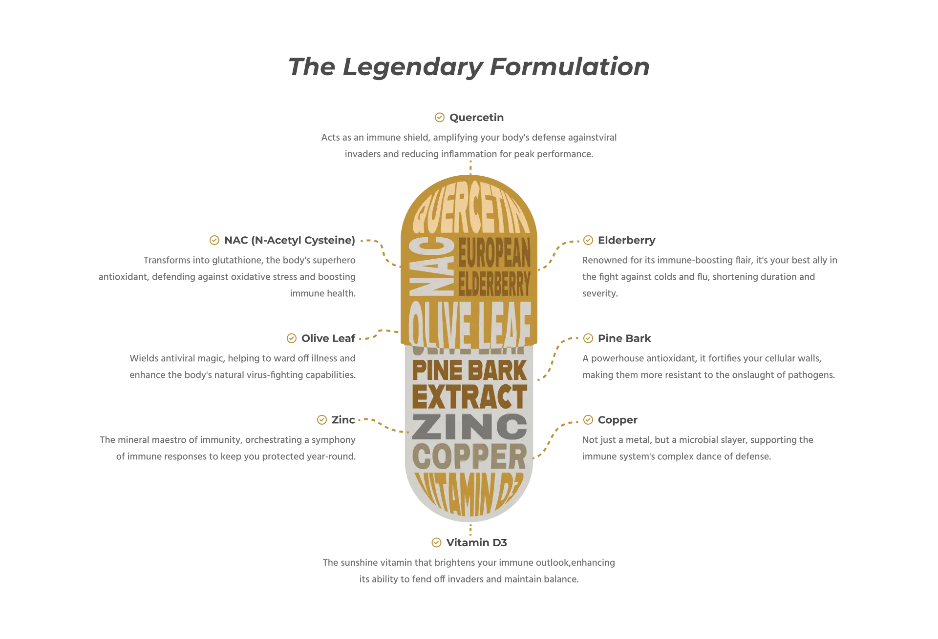 BeWell - 면역 지원 (60캡슐)