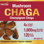 Chaga Mushroom Capsules 400mg - 120 Vegetable Capsules | 4:1 High Concentrate
