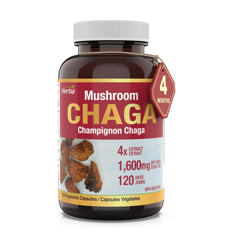 Herba Chaga Mushroom Capsules - 120 Capsules | 1,600mg - 4:1 Concentration | 400mg Equivalent to 1,600mg Chaga Mushroom Powder | 100% Natural Wild Harvested Chaga Capsules | Source of Antioxidants