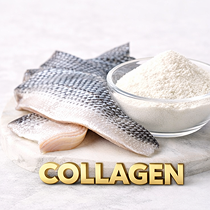 COLLAGEN