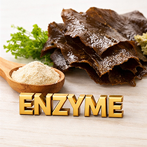 Enzyme / Fucoidan