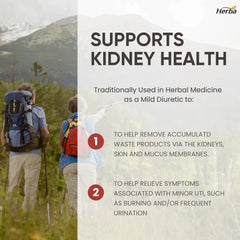 신장 정화 보충제 - 120캡슐