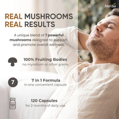 버섯 복합 보충제 - 120캡슐