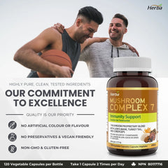 버섯 복합 보충제 - 120캡슐
