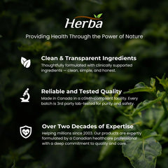 버섯 복합 보충제 - 120캡슐