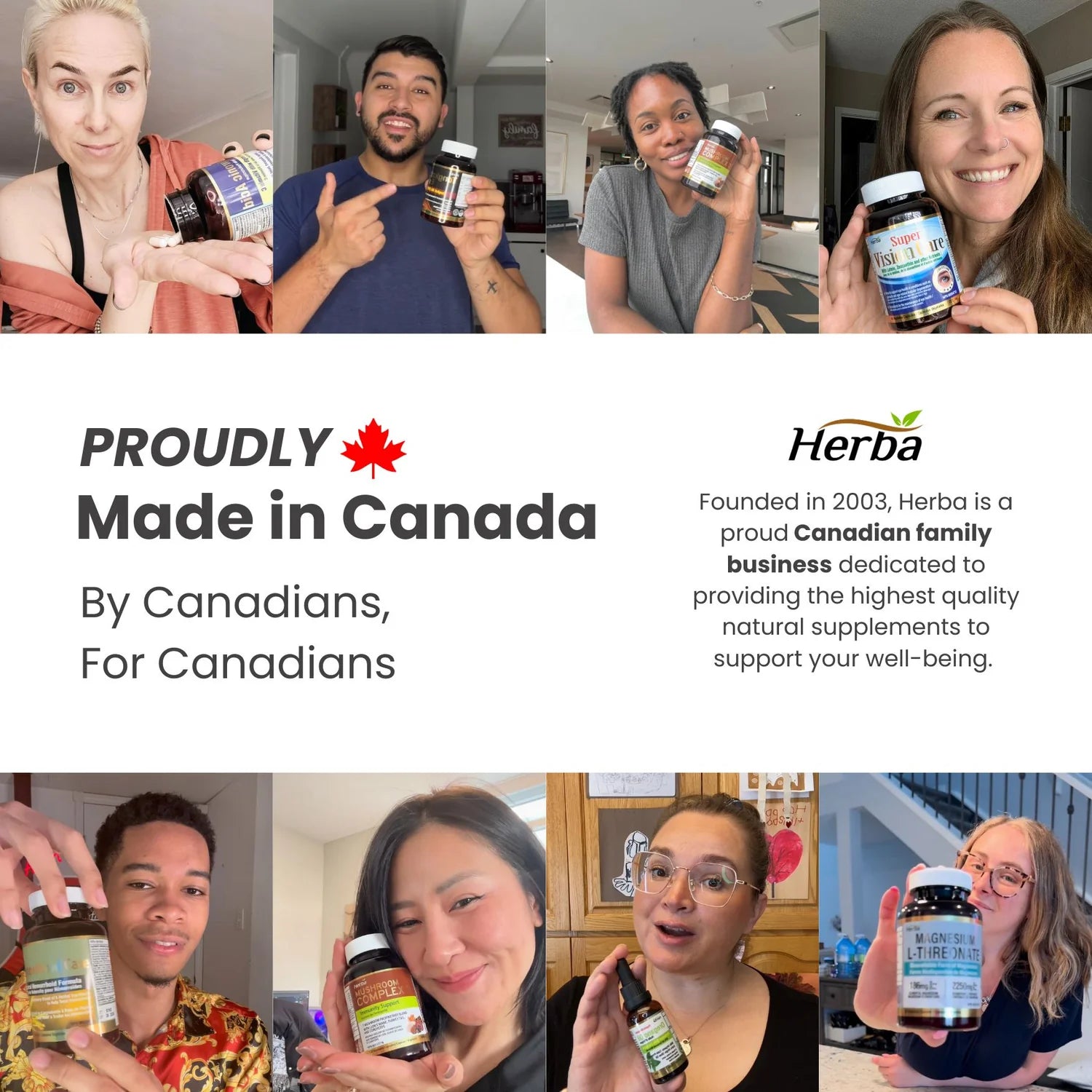 버섯 복합 보충제 - 120캡슐