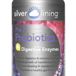 Prebiotic And Probiotic Digestive Enzymes (120 Caps)