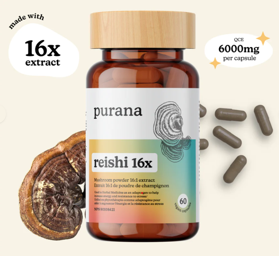 Reishi 16:1 / 60 Caps