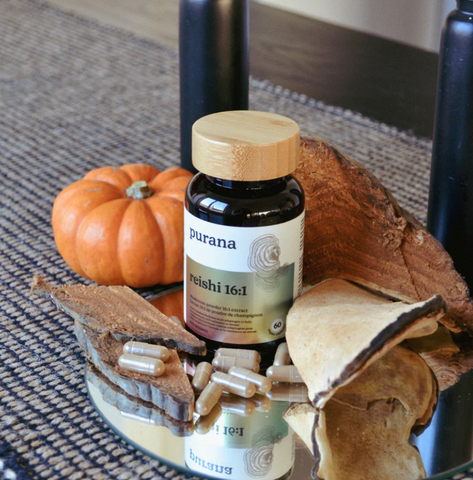 영지 16:1 / 60 캡