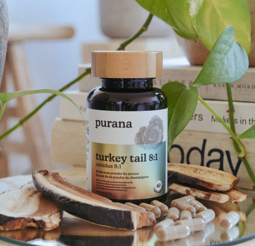 칠면조 꼬리 8:1 / 60 캡슐