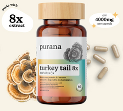 Turkey tail 8:1 / 60 Caps