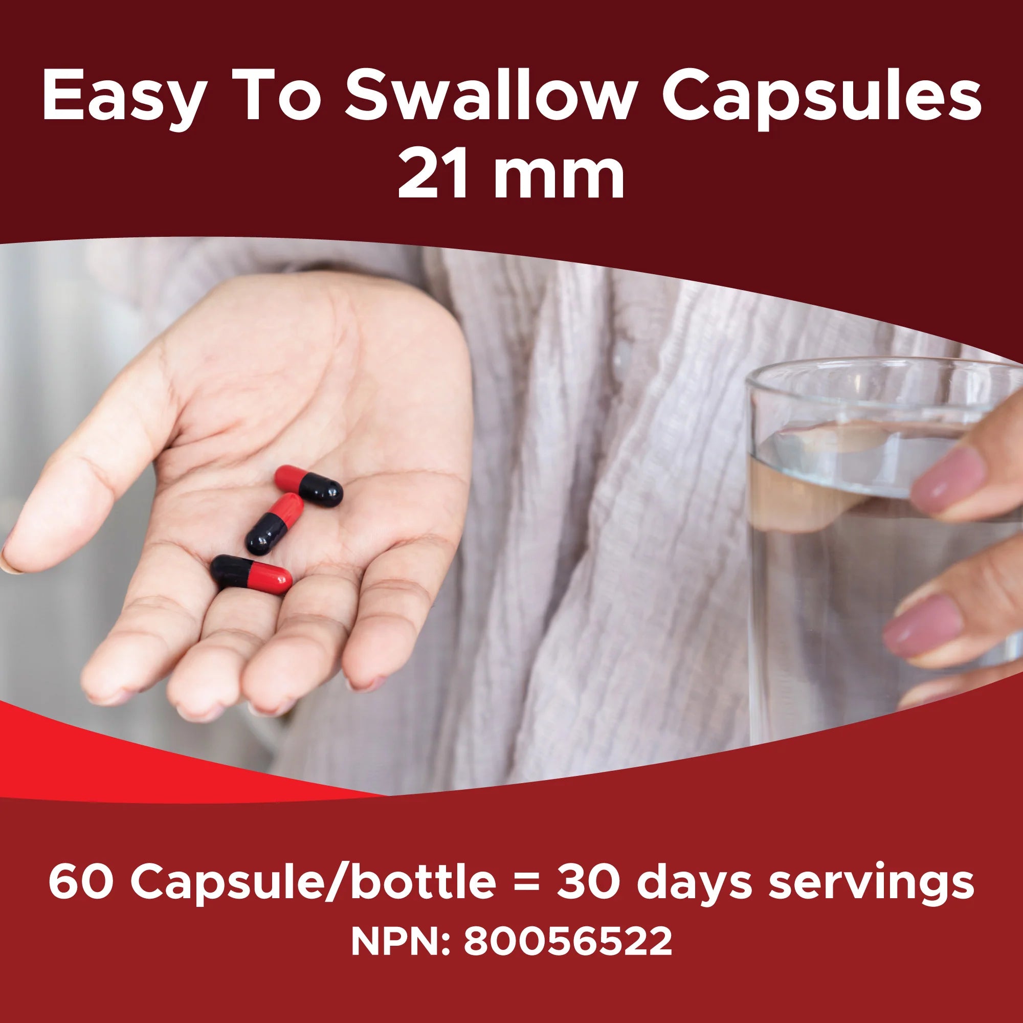 비고메이트 60캡슐