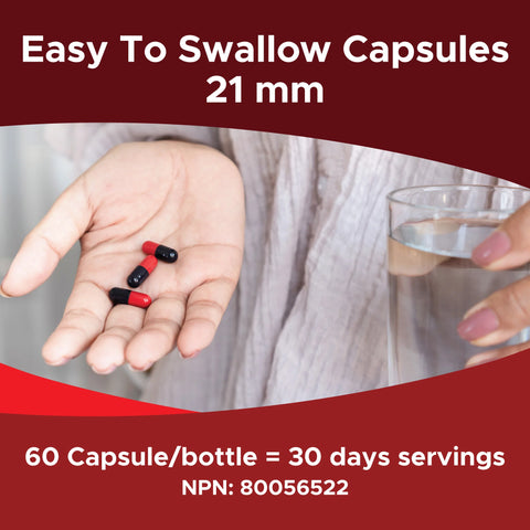 비고메이트 60캡슐