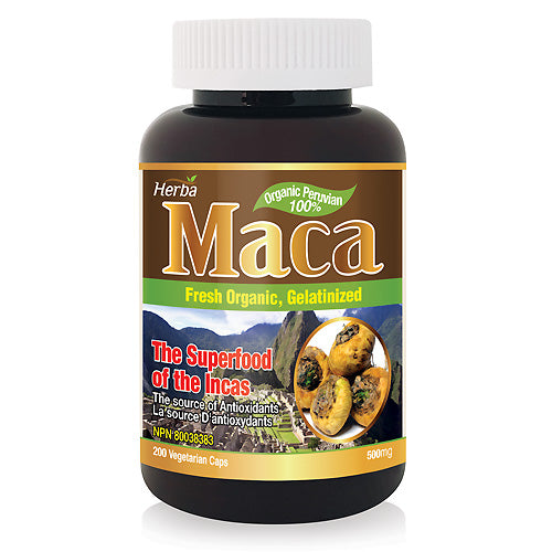 Maca