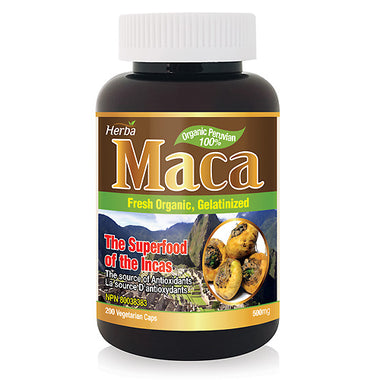 Maca